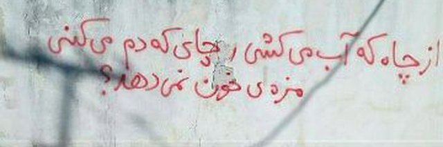 پریسا صالحی's banner