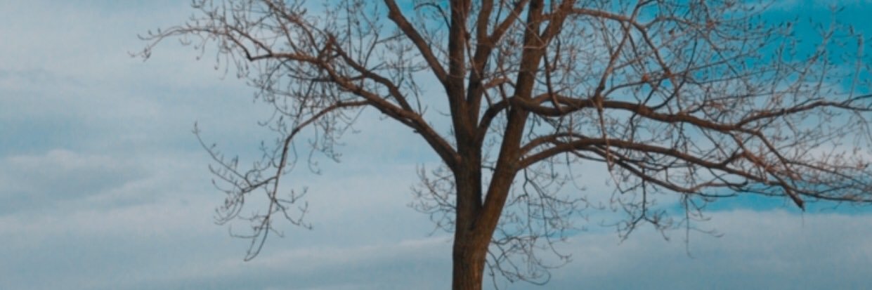 Nate's banner