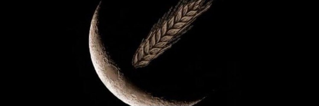 Çelebi Güzelce 3441 🇹🇷 💙💛🏹's banner