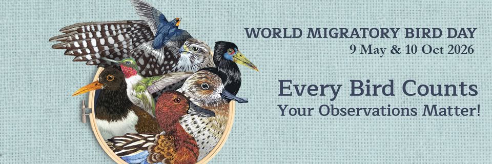 World Migratory Bird Day's banner