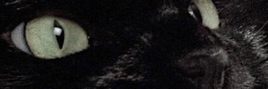クロ's banner