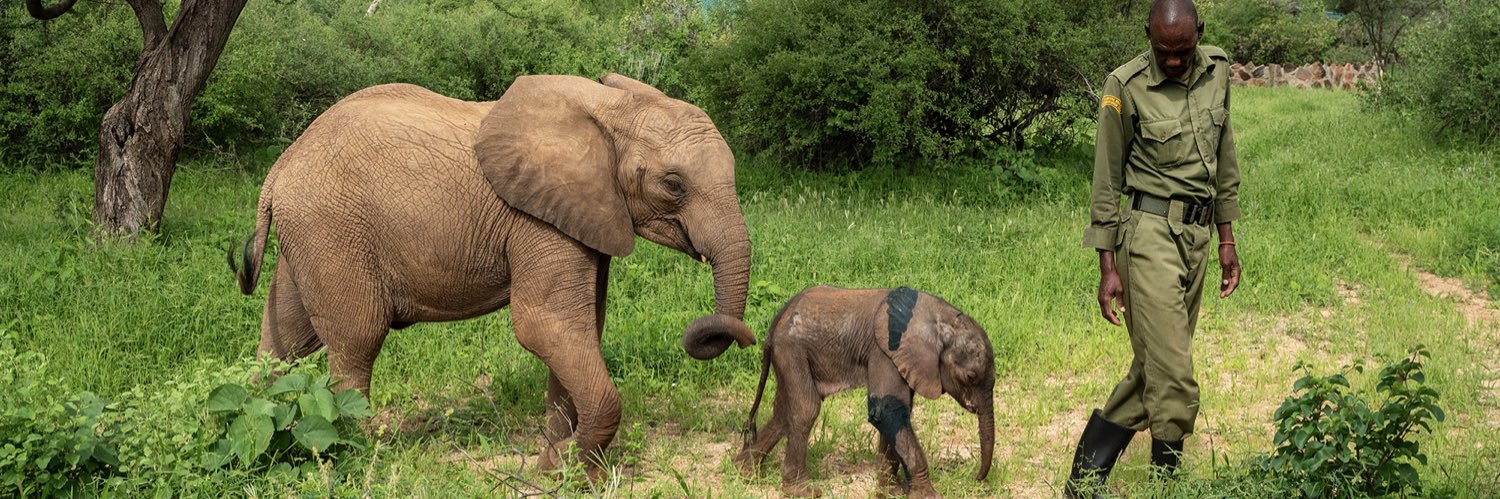Reteti Elephant Sanctuary's banner