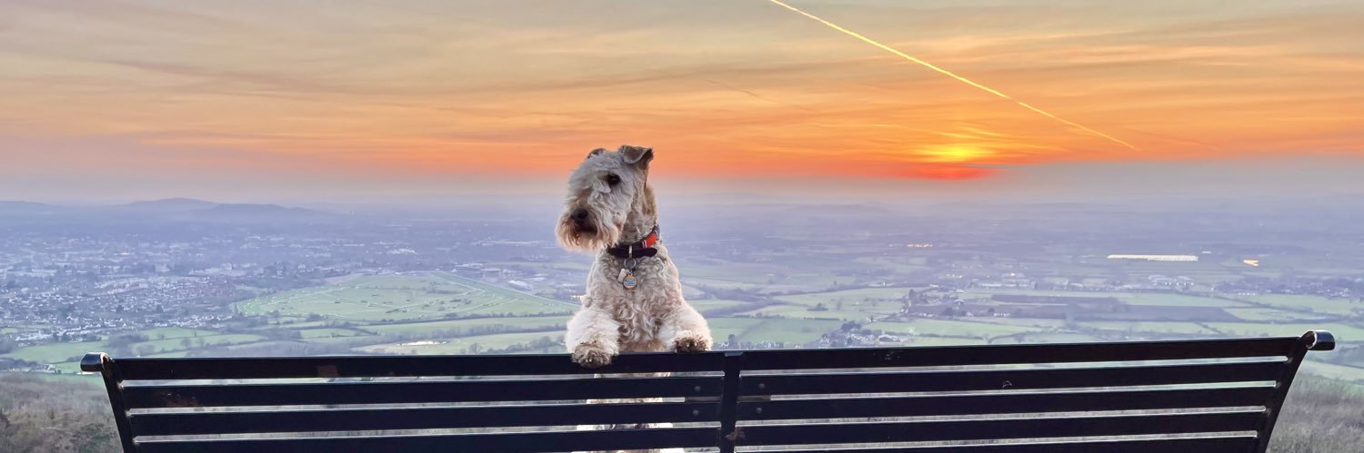 Bertie Lakeland's banner
