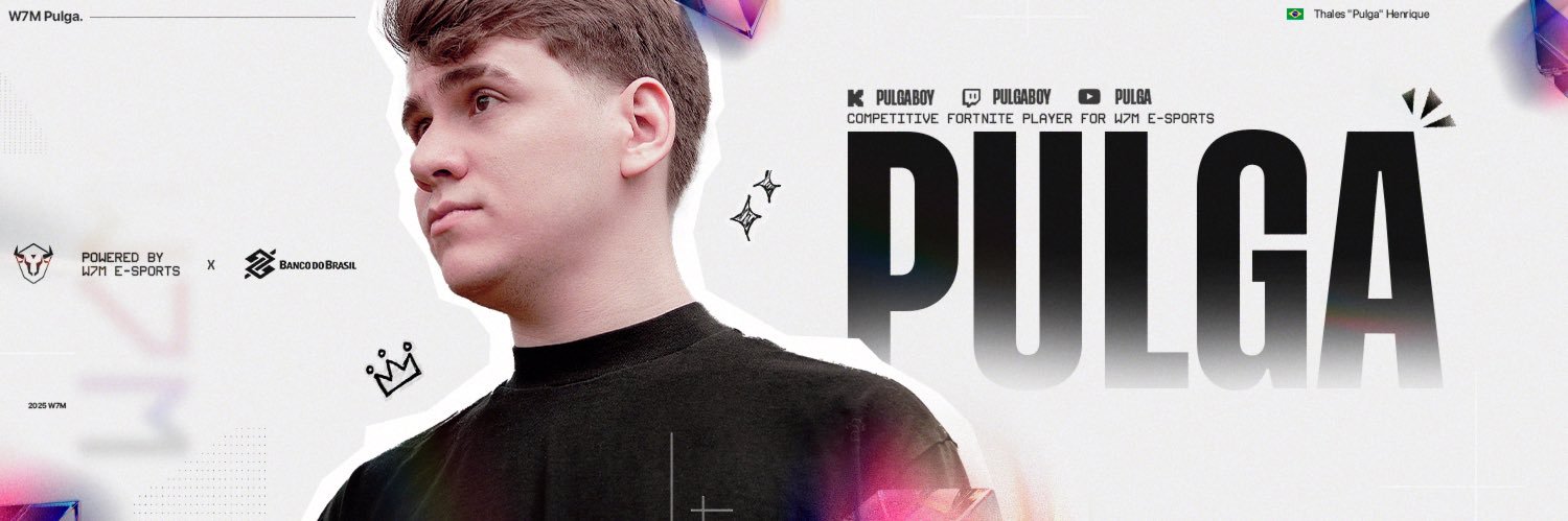 Fluxo Pulgaboy's banner