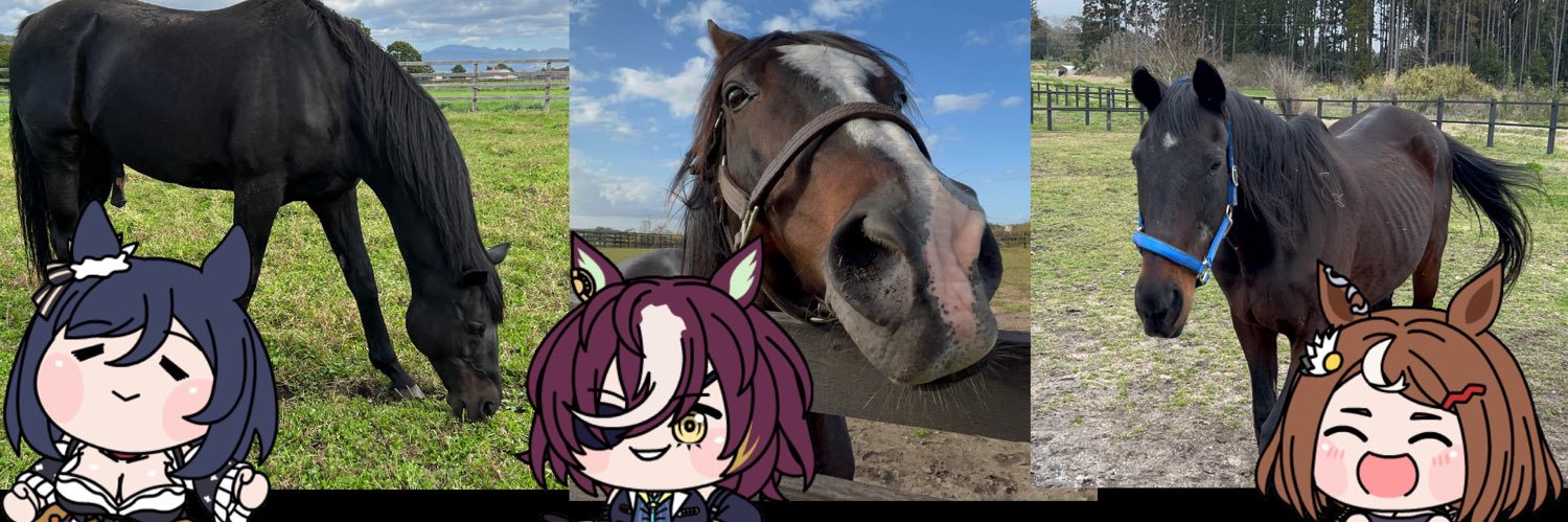 レオナ's banner