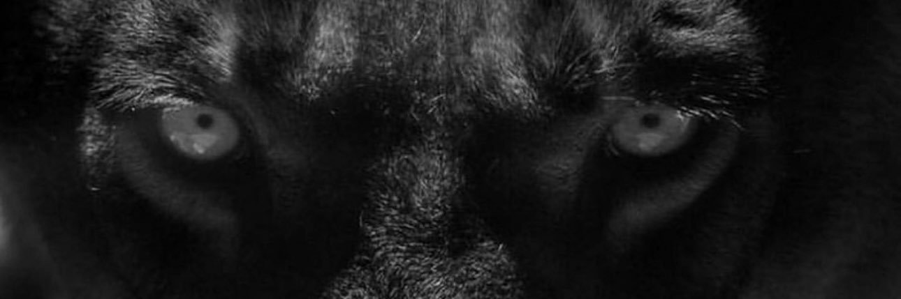 SR's banner