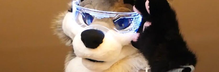 TommyCrash the wolf's banner