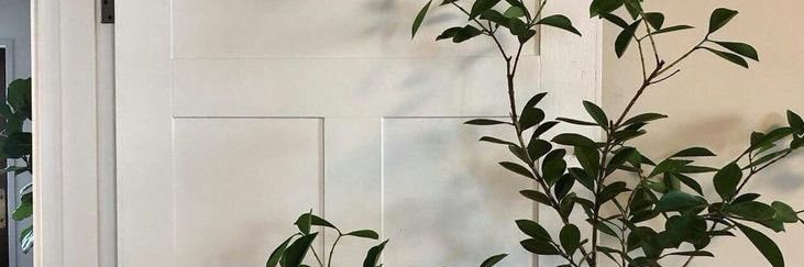Floryn Skye's banner