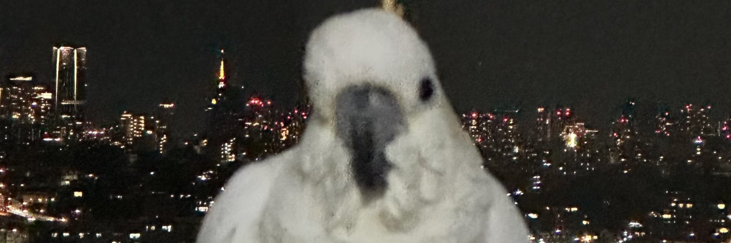 無類の鳥好き's banner