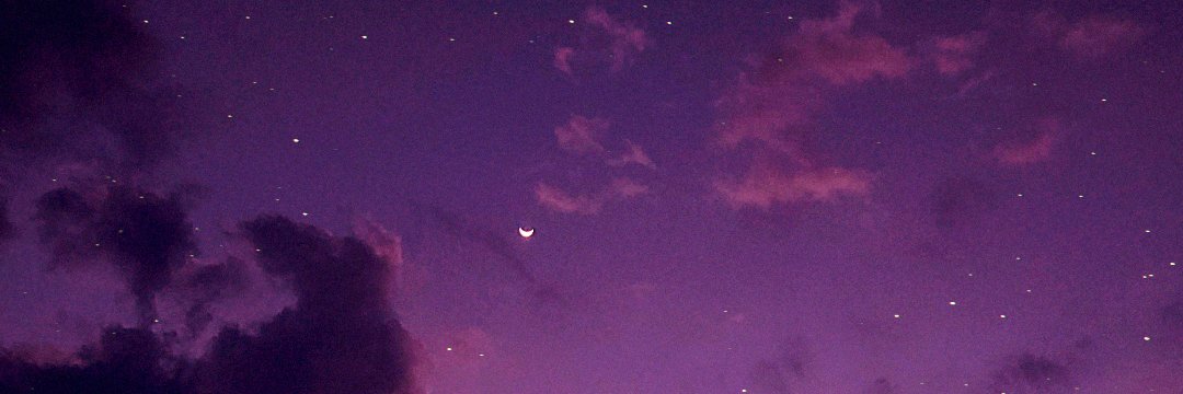 mismagius's banner