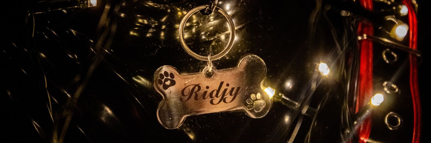 RIDJY's banner