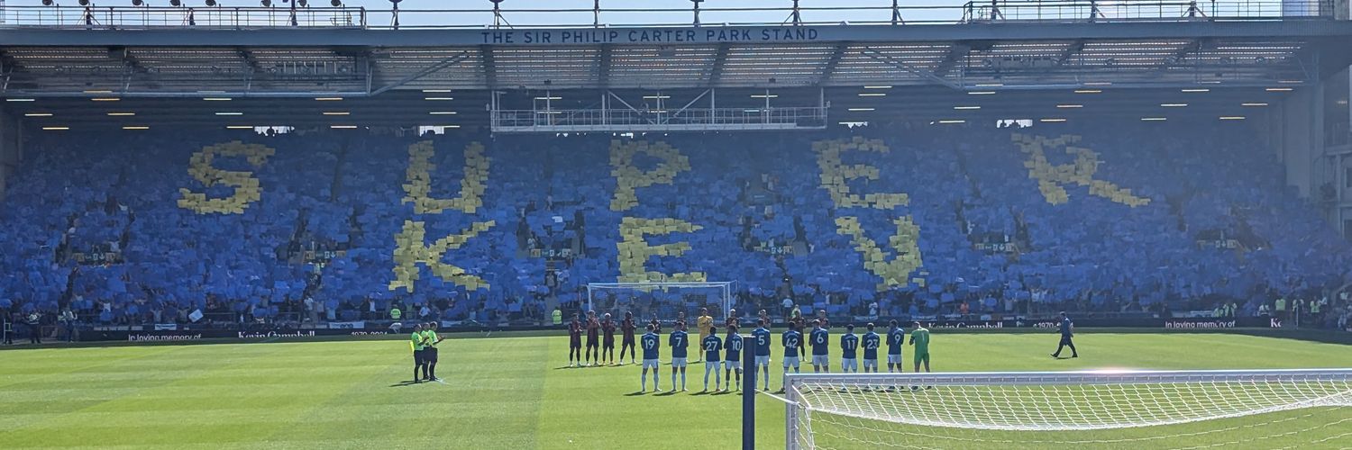 Up The Friedkin Toffees's banner