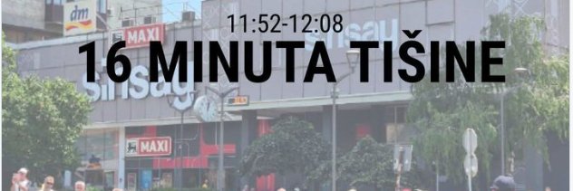 Slavica Plavšić's banner