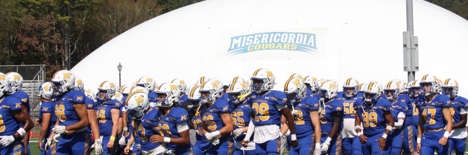 Misericordia University Football's banner
