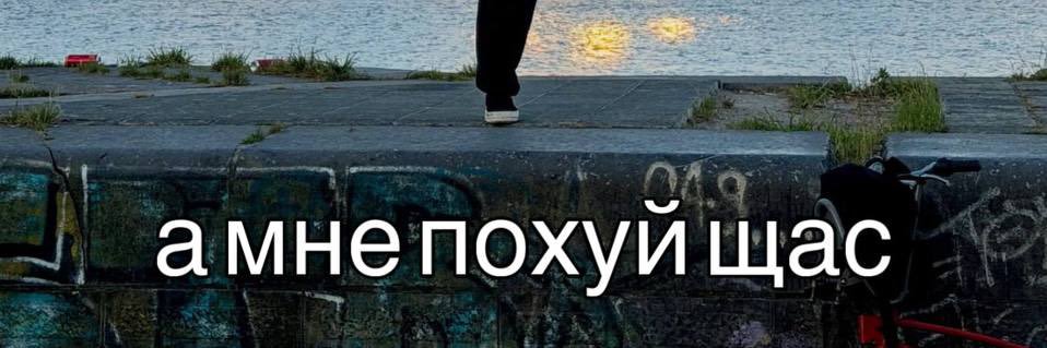 дама с котячками⁷ (ꪜ)'s banner