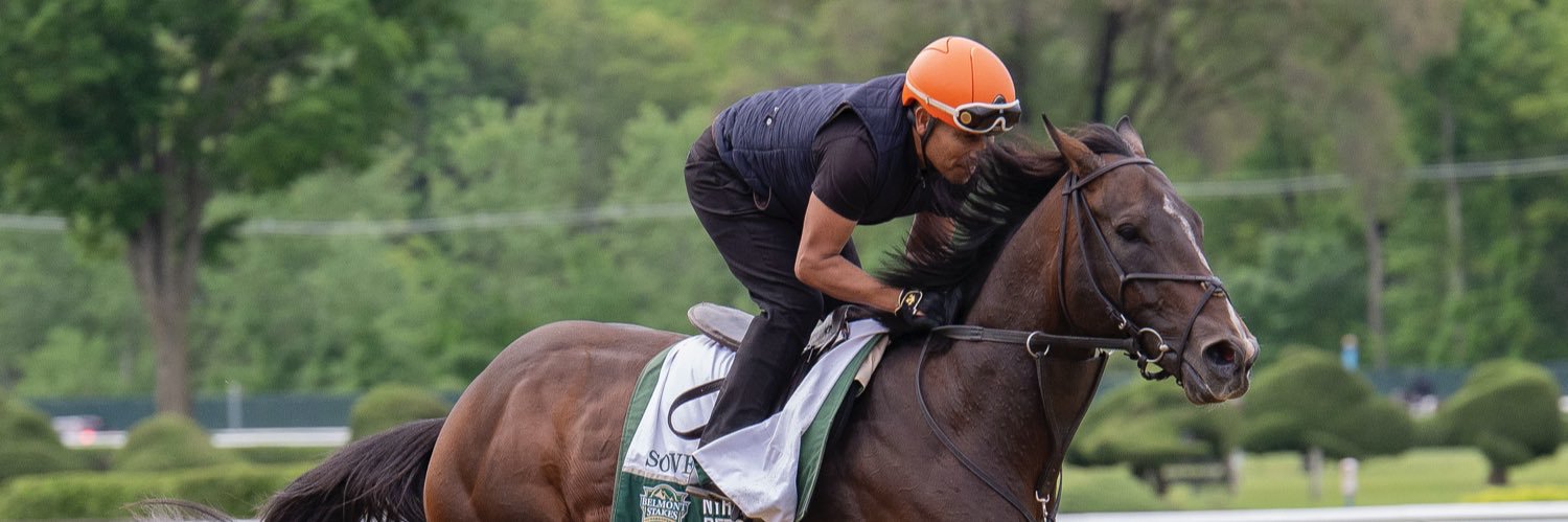 Mary Eddy🏇🏼's banner