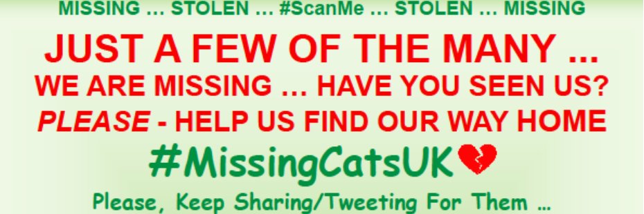 MissingCatsUK's banner