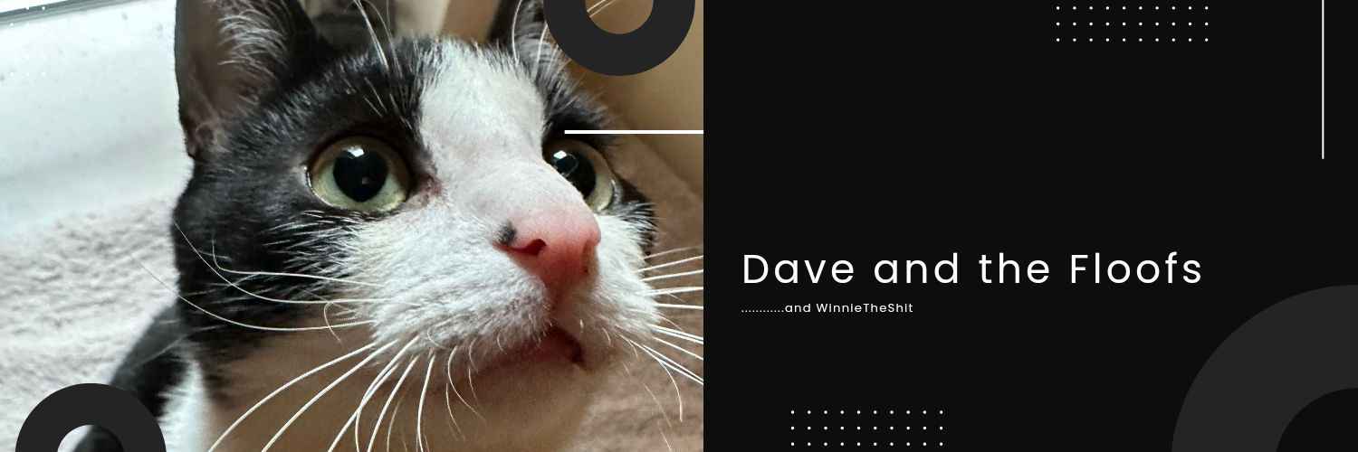 WinnieTheShit's banner
