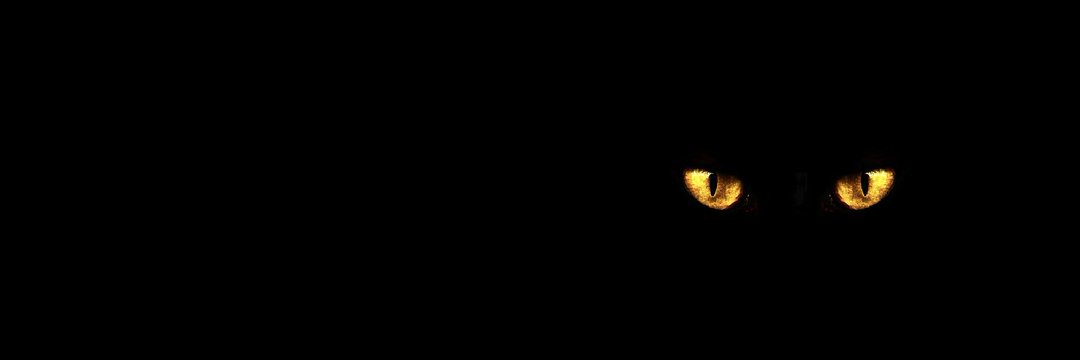 Laura, la lic.💛🇦🇷's banner