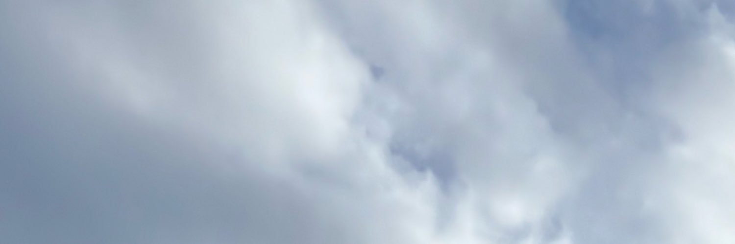 miss katie's banner