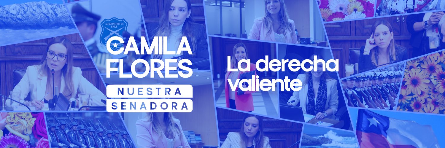 Camila Flores Oporto 🇨🇱's banner