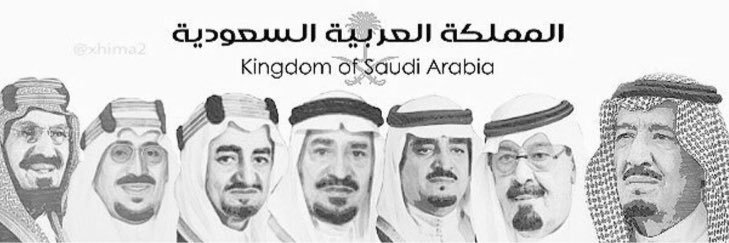 سلالات مزايين الإبل (الشداد)'s banner