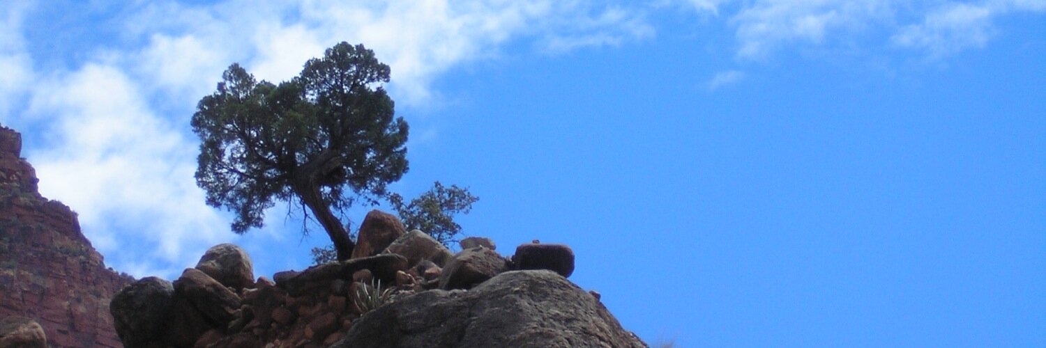Gabriel Bosslet's banner