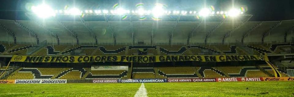 Coke Rojas's banner
