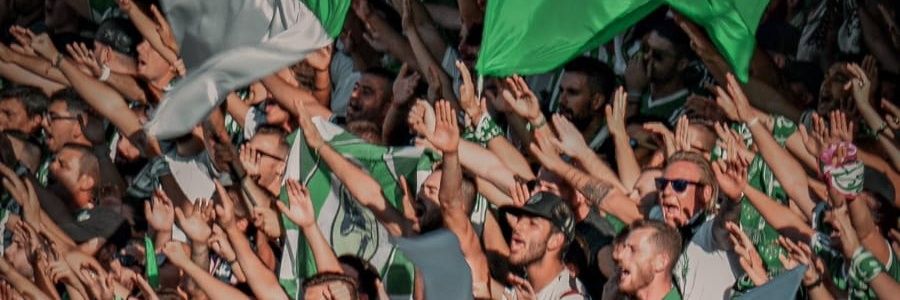 Paw Værnhøj's banner