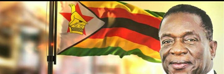 𝙉𝙞𝙘𝙤𝙡𝙚 𝙃𝙤𝙣𝙙𝙤 🇿🇼's banner