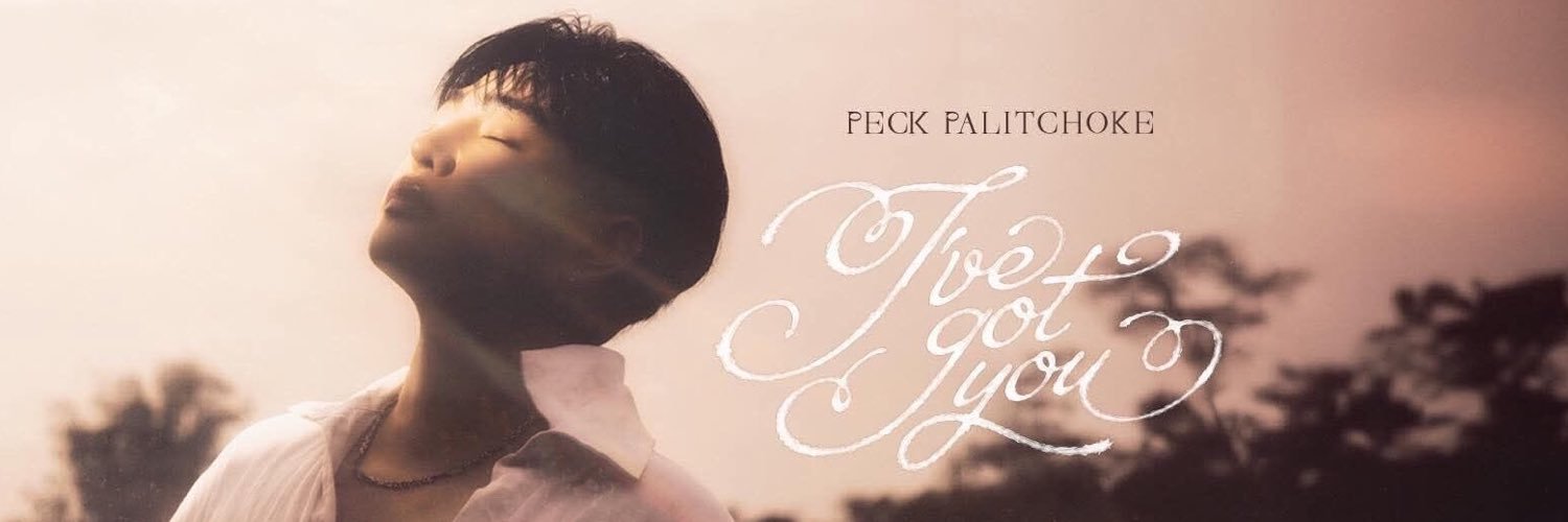 ˖Ი𐑼ﾟHellö พายไก่ ᰔᩚ༘ ⊹ i've got you ♡︎'s banner