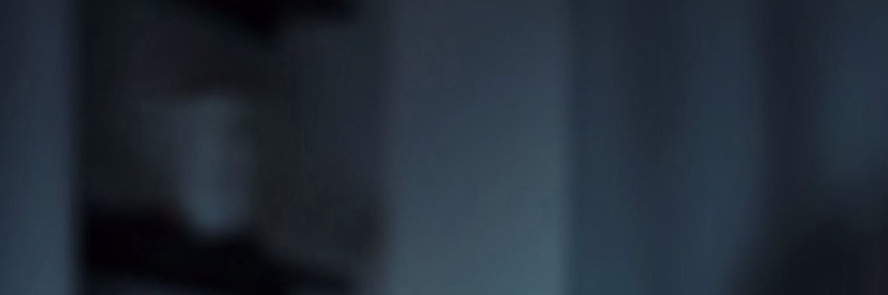 X.XI's banner