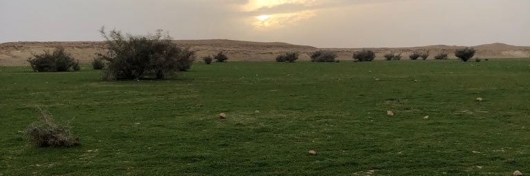 ابوفهد's banner