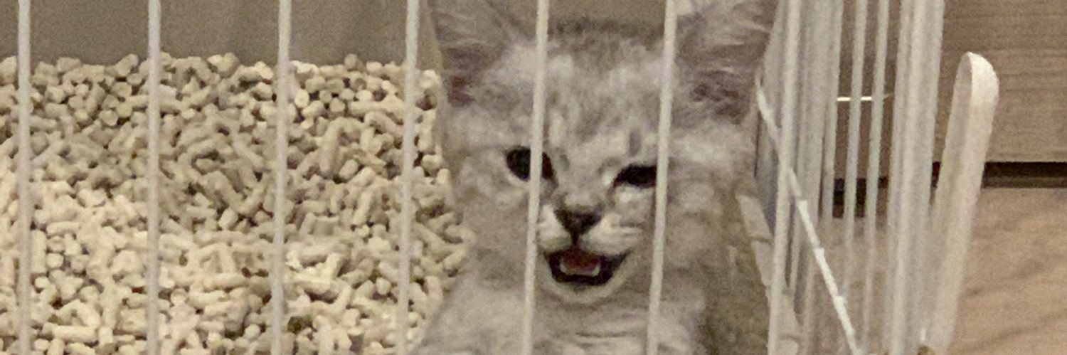 まろ🐈's banner