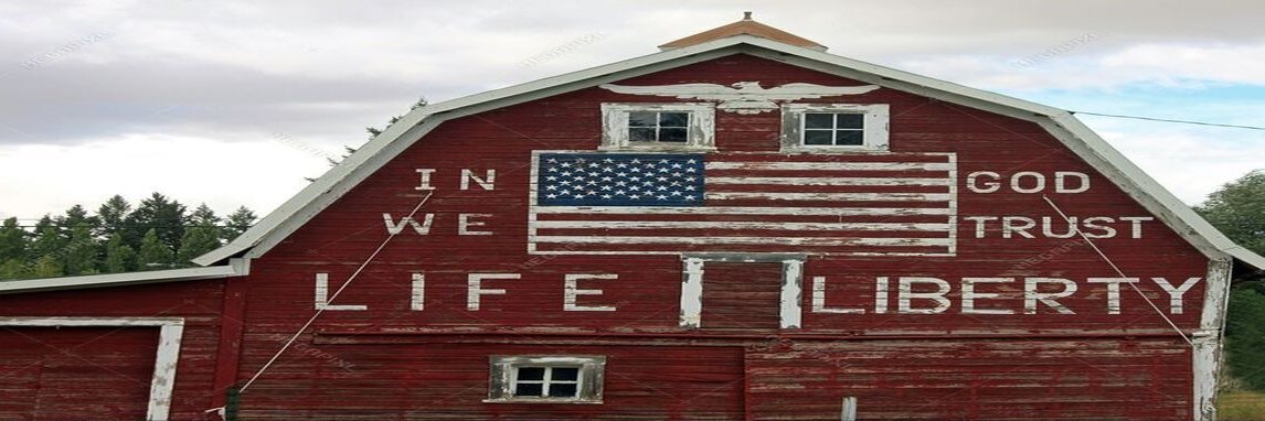 Starlight🇺🇸🦅's banner