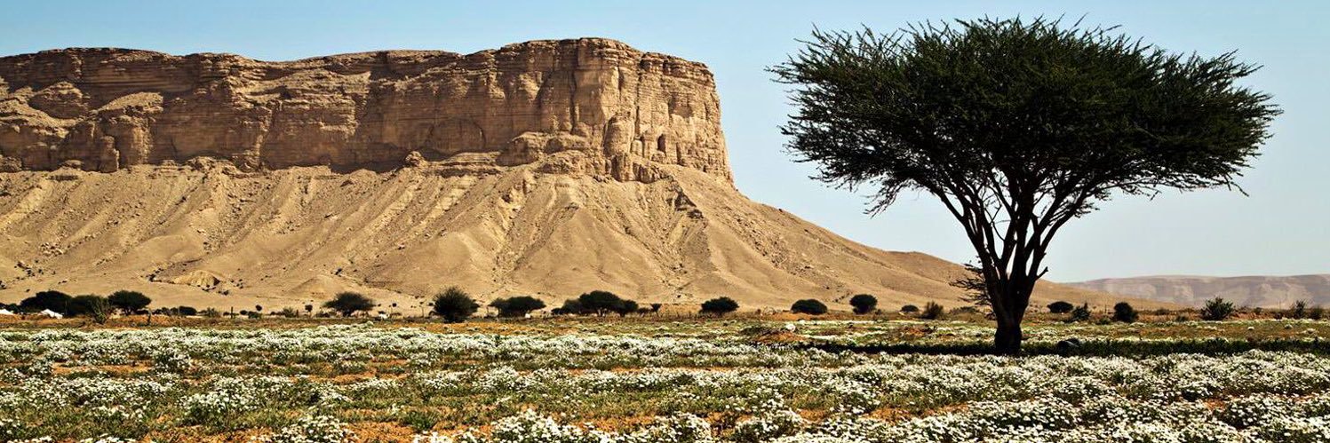 عبدالكريم الناجم's banner