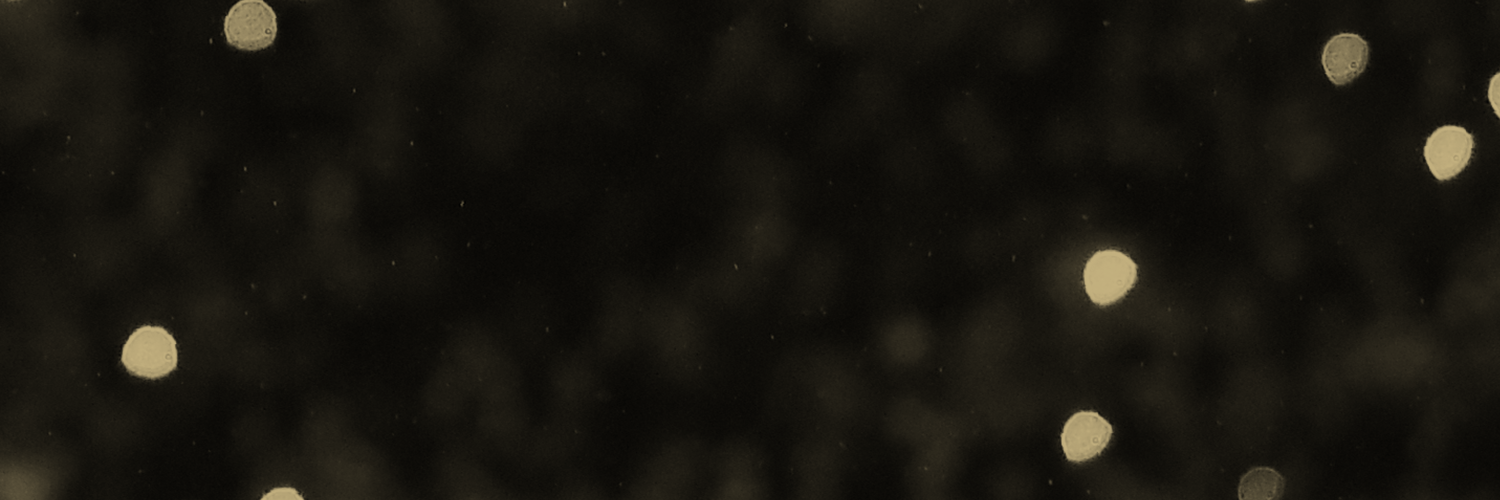 KLUTCH Sports Group's banner