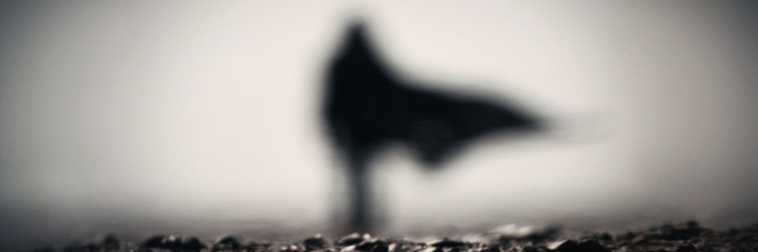 Vibesss's banner
