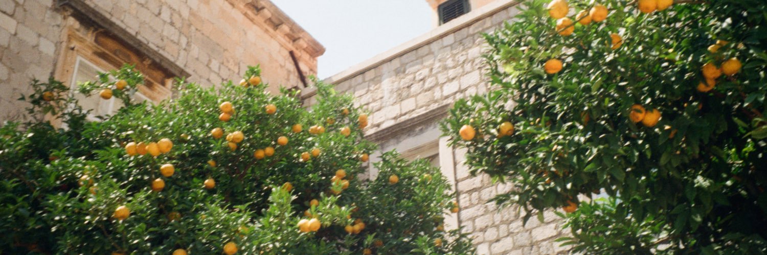yasmine | ياسمين's banner