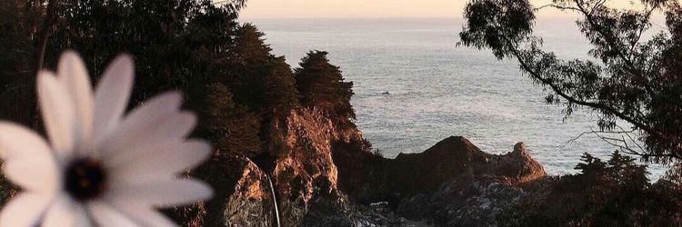 Emmie K's banner