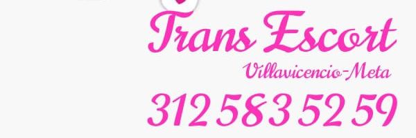 DANNY SOPHIA TRANS's banner