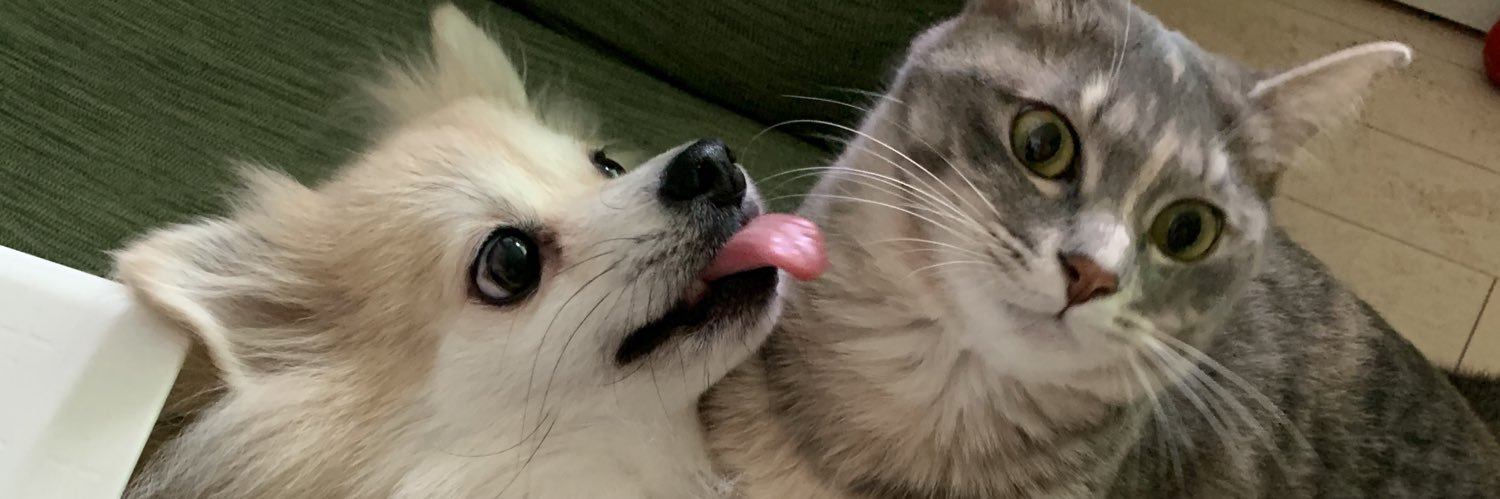 sugarpup🌌's banner