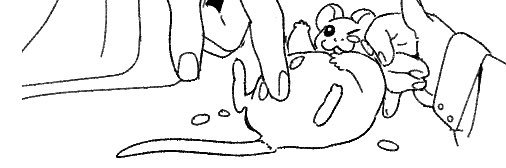 けぽな🐭春例な49ab's banner
