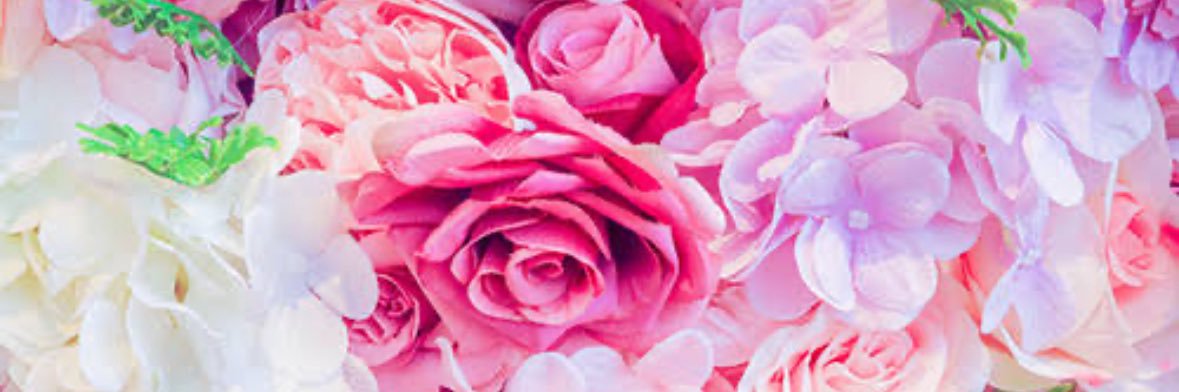 むーこ's banner