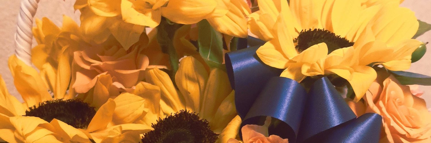 wia / うぃあ's banner