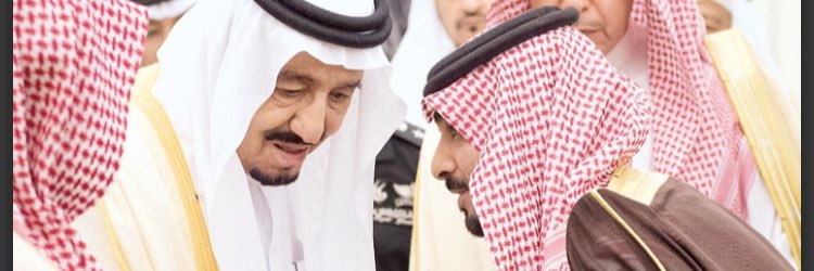 مشعل بن فايز بن جدعان بن مقحم آل مهيد's banner