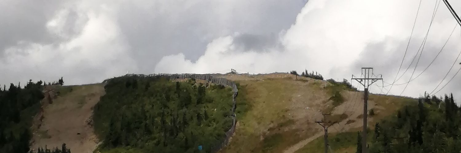 СветочЪ АдекВатности's banner