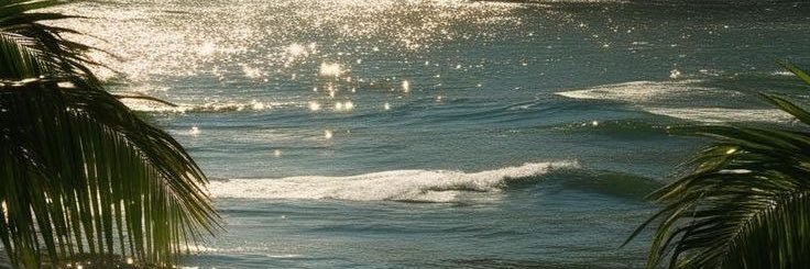 van ✩'s banner