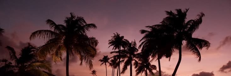 van ✩'s banner