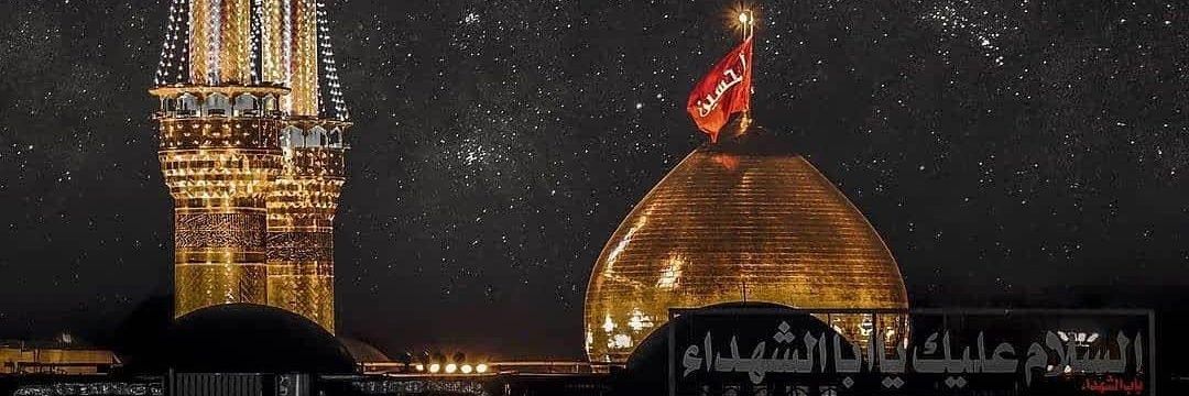 سید عابس حسین نقوی's banner